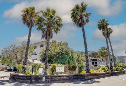 Magnificent Outdoor at Terra Linda Manor, California, 94903