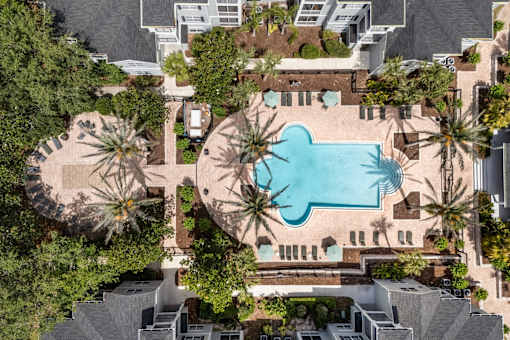 A swimming pool surrounded by palm trees and a building.