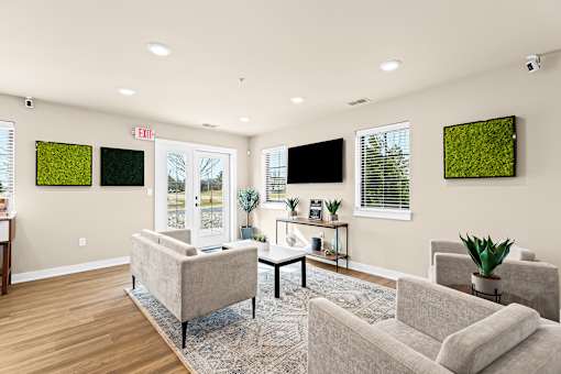 A living room with a grey couch and a green plant on the table.