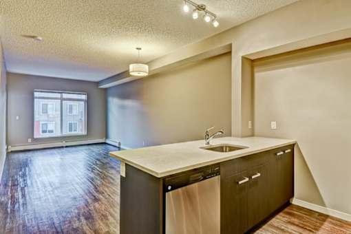 A kitchen with a sink and a window.
