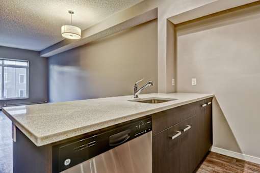 A kitchen with a sink, dishwasher, and a window.