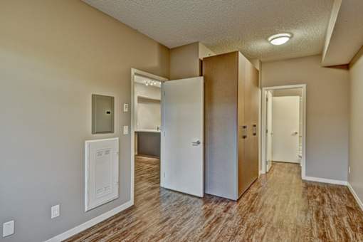 A room with a white door, a brown door, and a white cabinet.