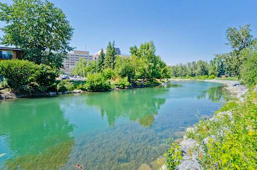 A serene lake surrounded by lush greenery and buildings in the distance.