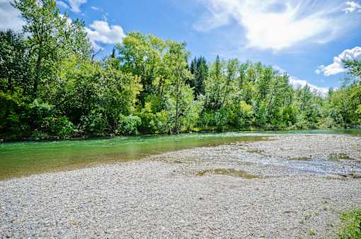 A river flows through a forest with a rocky shore.