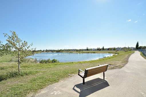 A park bench is situated on a path next to a lake.