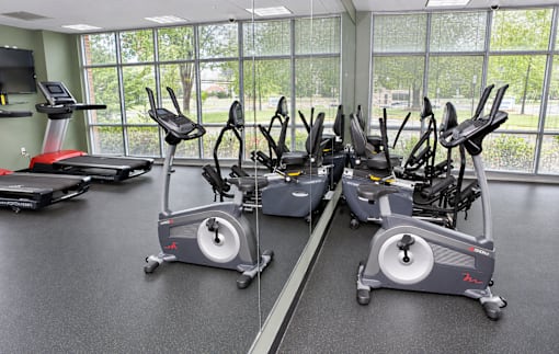 A gym with treadmills and elliptical machines.