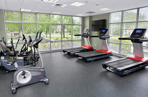 A gym with treadmills, elliptical machines, and a television.
