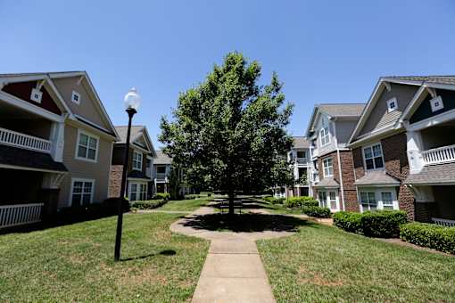 A tree in the middle of a grassy area with apartment buildings in the background.