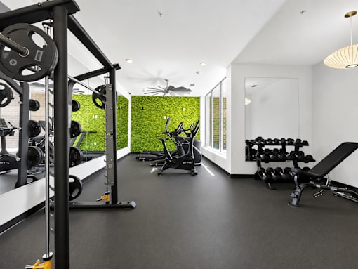 A gym with a green wall and various exercise equipment.