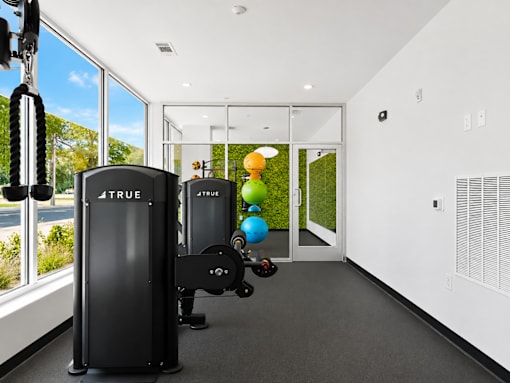 A gym with a row of TRUFitness equipment.
