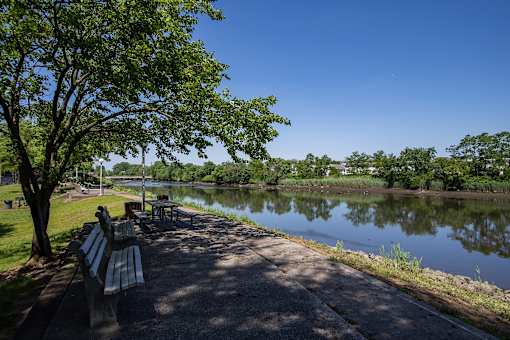 a park with benches and a tree next to a body of water