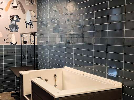 Modern pet spa with grooming station and dog wash area at The Rail at Bound Brook apartments in Bound Brook, NJ.