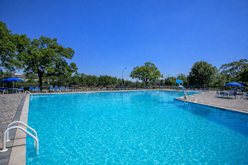 A large swimming pool with a blue tiled edge and a white ladder on the left side.
