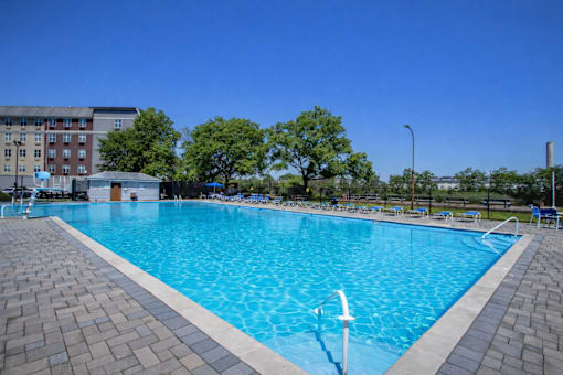 A large swimming pool with a blue tiled edge and a white ladder on the right side.