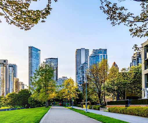 a path through a park with trees and skyscrapers in the background