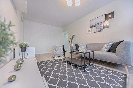 A living room with a grey couch, a coffee table, and a plant.