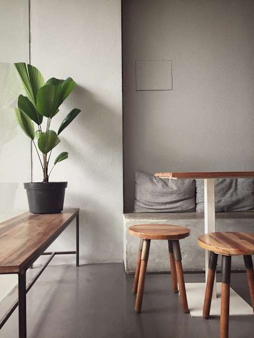 A potted plant sits on a table next to a couch with a grey pillow.