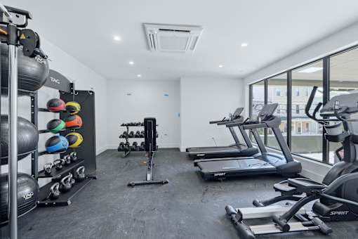 A gym with a variety of equipment including treadmills, weights, and a TRX suspension trainer.