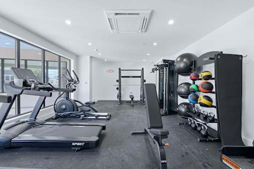 A gym with treadmills, weights, and exercise equipment.