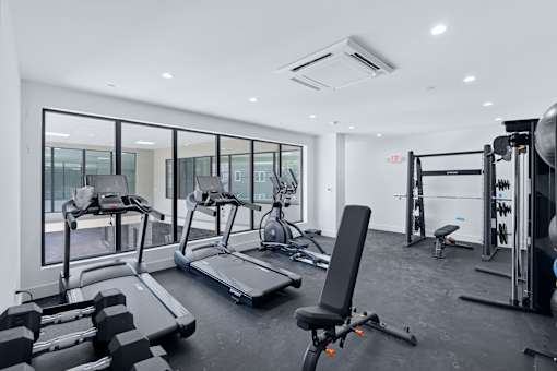 A spacious gym with treadmills, weights, and exercise equipment.