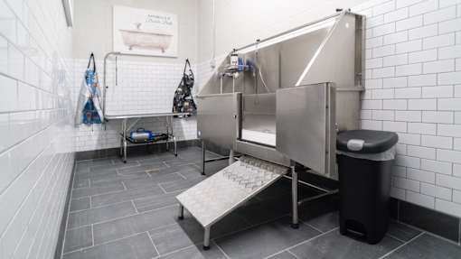 A clean, empty public bathroom with a trash can and a sink.
