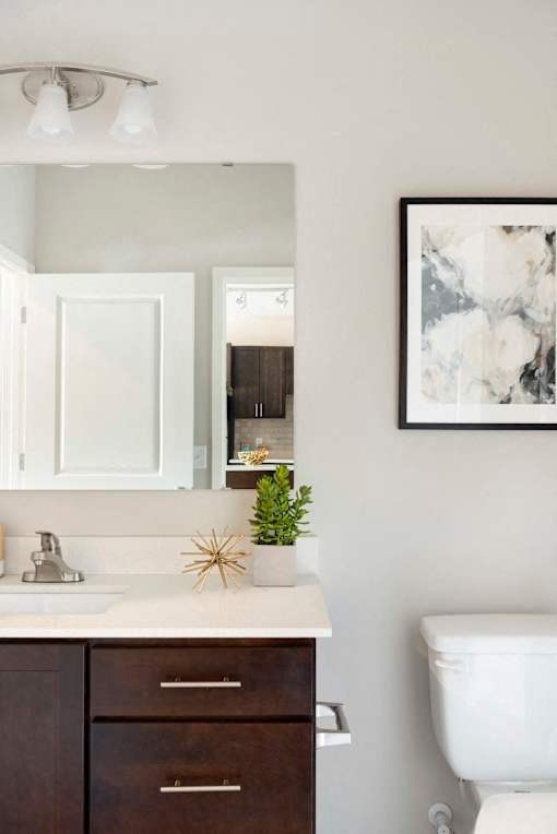 A white toilet sits next to a sink with a plant on top of it.