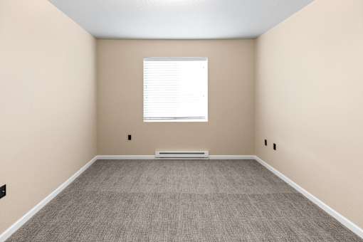 A room with a window and a carpeted floor.