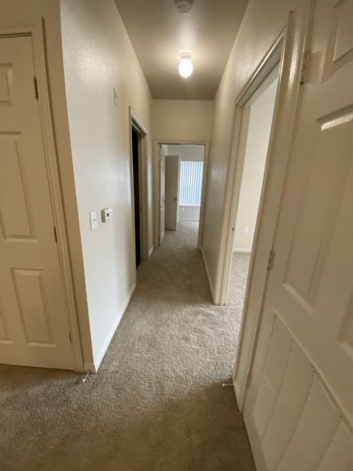 a hallway with many doors and a carpeted floor