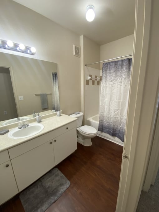a bathroom with a sink and a toilet and a shower