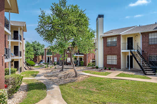 A tree in a grassy area in front of apartment buildings.