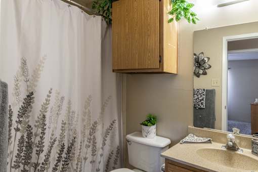 A bathroom with a toilet, sink, and a shower curtain with a plant on it.