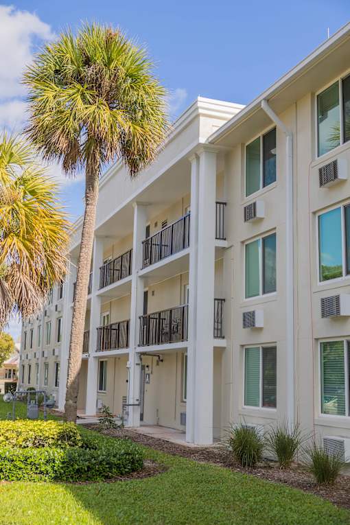 A white apartment building with balconies and a palm tree in front.