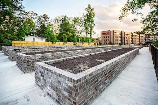 A row of raised garden beds are lined up in the snow.