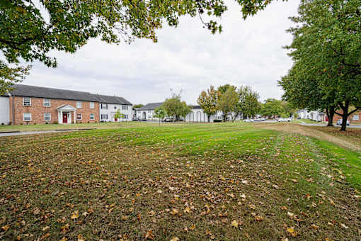 A grassy field with fallen leaves and trees in front of a row of houses.