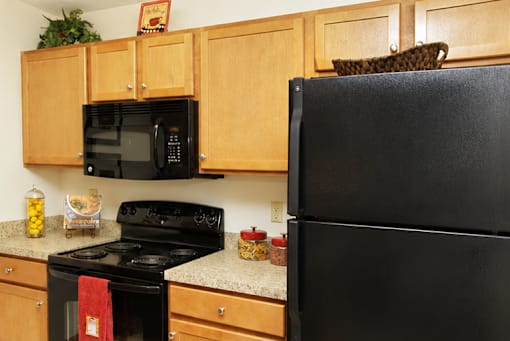 A black refrigerator sits next to a black stove in a kitchen.