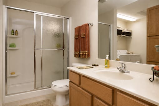 A bathroom with a toilet, sink, and shower.