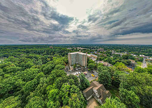 A bird's eye view of a lush green forest with a large building in the center.