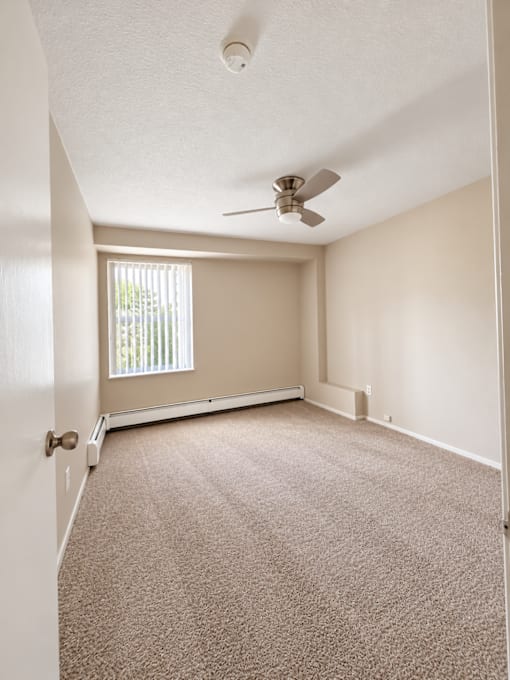 A room with a carpeted floor and a ceiling fan.