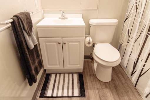 A white toilet sits next to a sink in a bathroom.