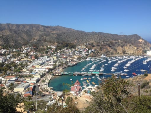 Ocean view