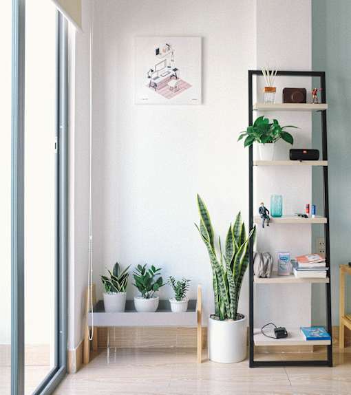 a living room with a bookshelf and several potted plants
