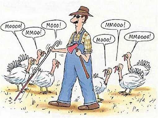 a man with a rifle and a flock of geese