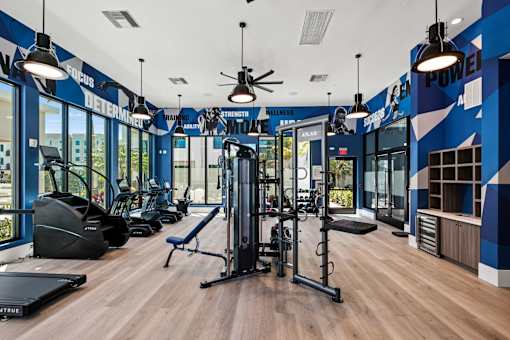 A Gym with Equipment at The Palmeri Residences, Florida, 34104