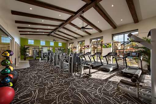 a gym with cardio equipment and weights on the floor