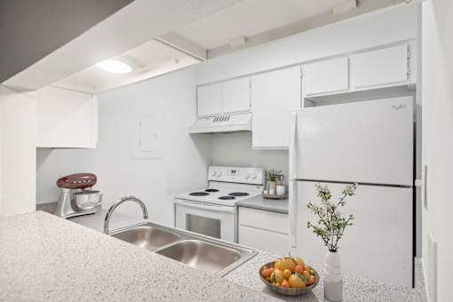 Amazing kitchens with modern appliances at The Bay Club, Texas