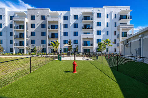 Dog Park at The Palmeri Residences, Naples, FL, 34104