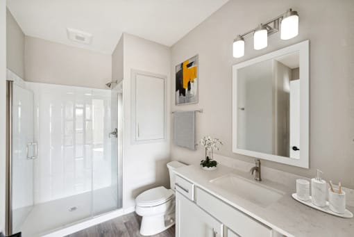 a bathroom with a large mirror and a toilet and a shower at SoRoc on Maine, Rochester, 55904