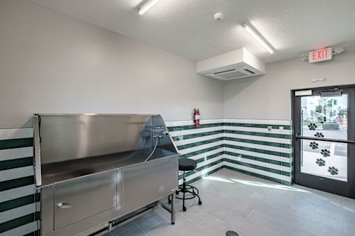 Pet Wash Station at The Palmeri Residences, Naples, Florida
