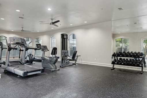 A spacious gym with treadmills, elliptical machines, and a bench press.