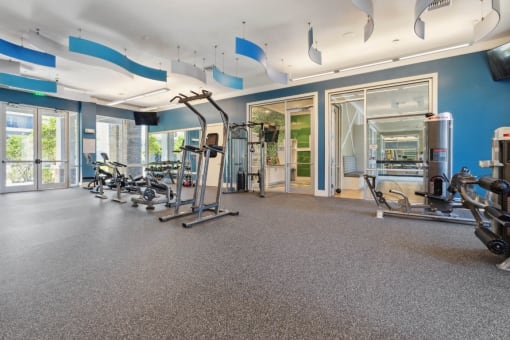 Fitness Center at Village at Terra Bella Apartments, FL